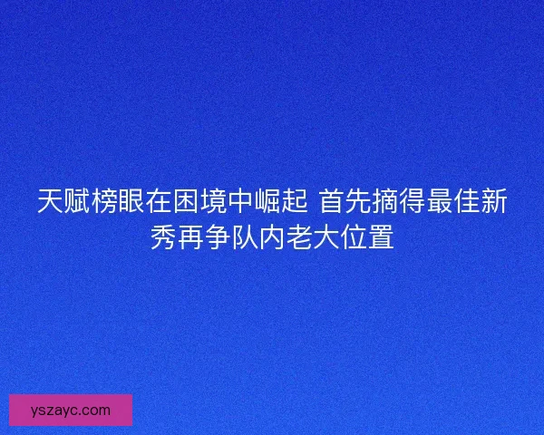 天赋榜眼在困境中崛起 首先摘得最佳新秀再争队内老大位置